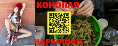 прущие грибы Мариинск