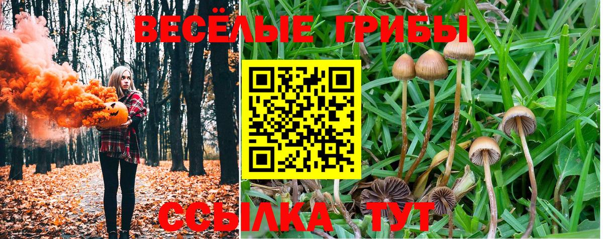Псилоцибиновые грибы Cubensis Фрязино