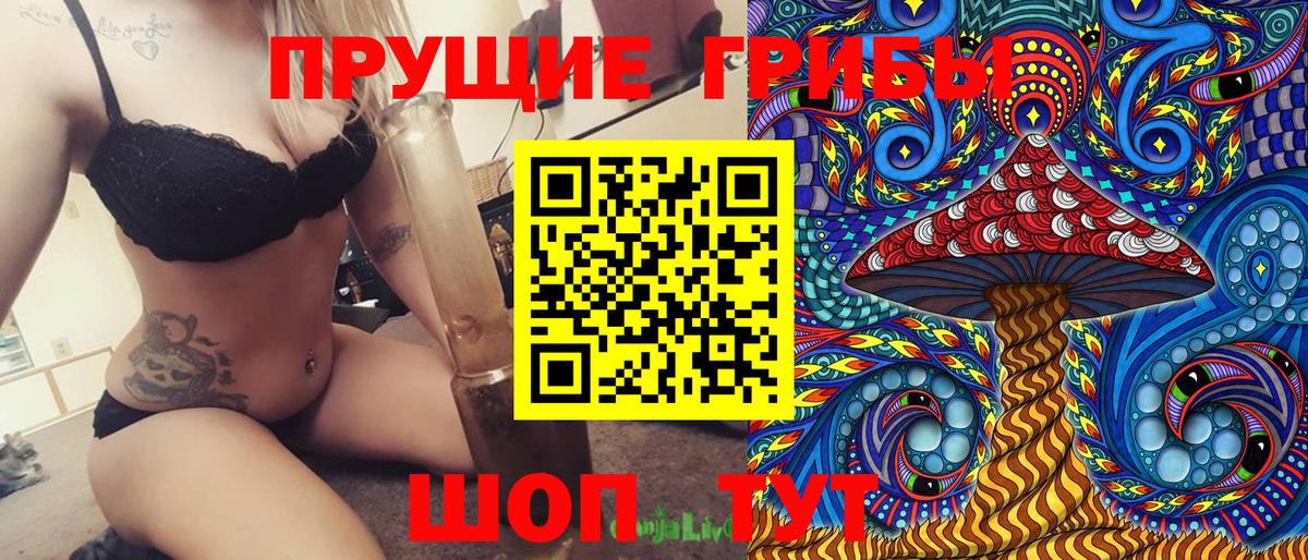 Галлюциногенные грибы GOLDEN TEACHER  Псилоцибиновые грибы прущие грибы  Вход с VPN  Фрязино 